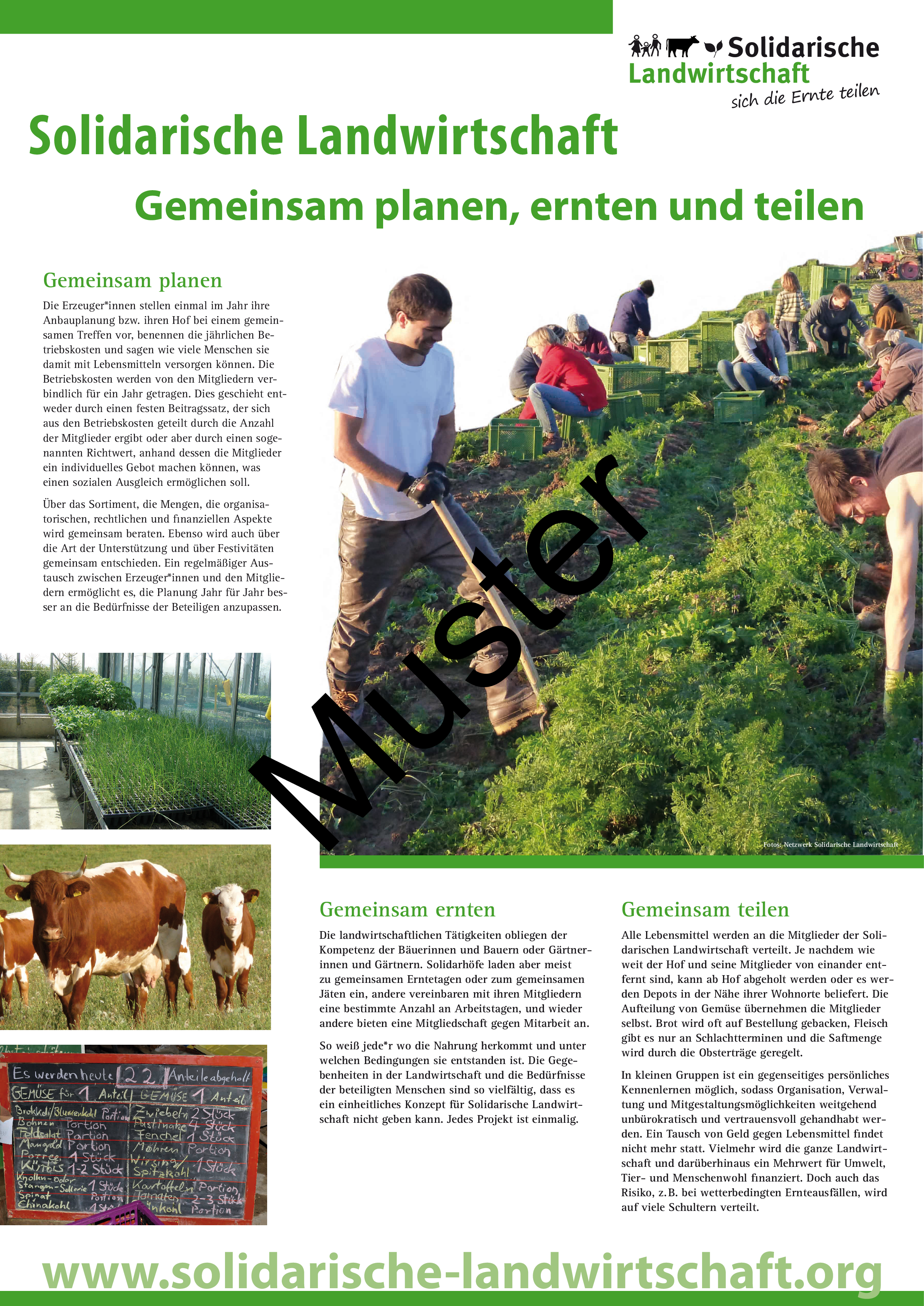 Poster "Umsetzung": Solidarische Landwirtschaft – Gemeinsam planen, ernten und teilen - Für Mitglieder