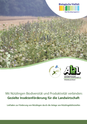 Gezielte Insektenförderung für die Landwirtschaft